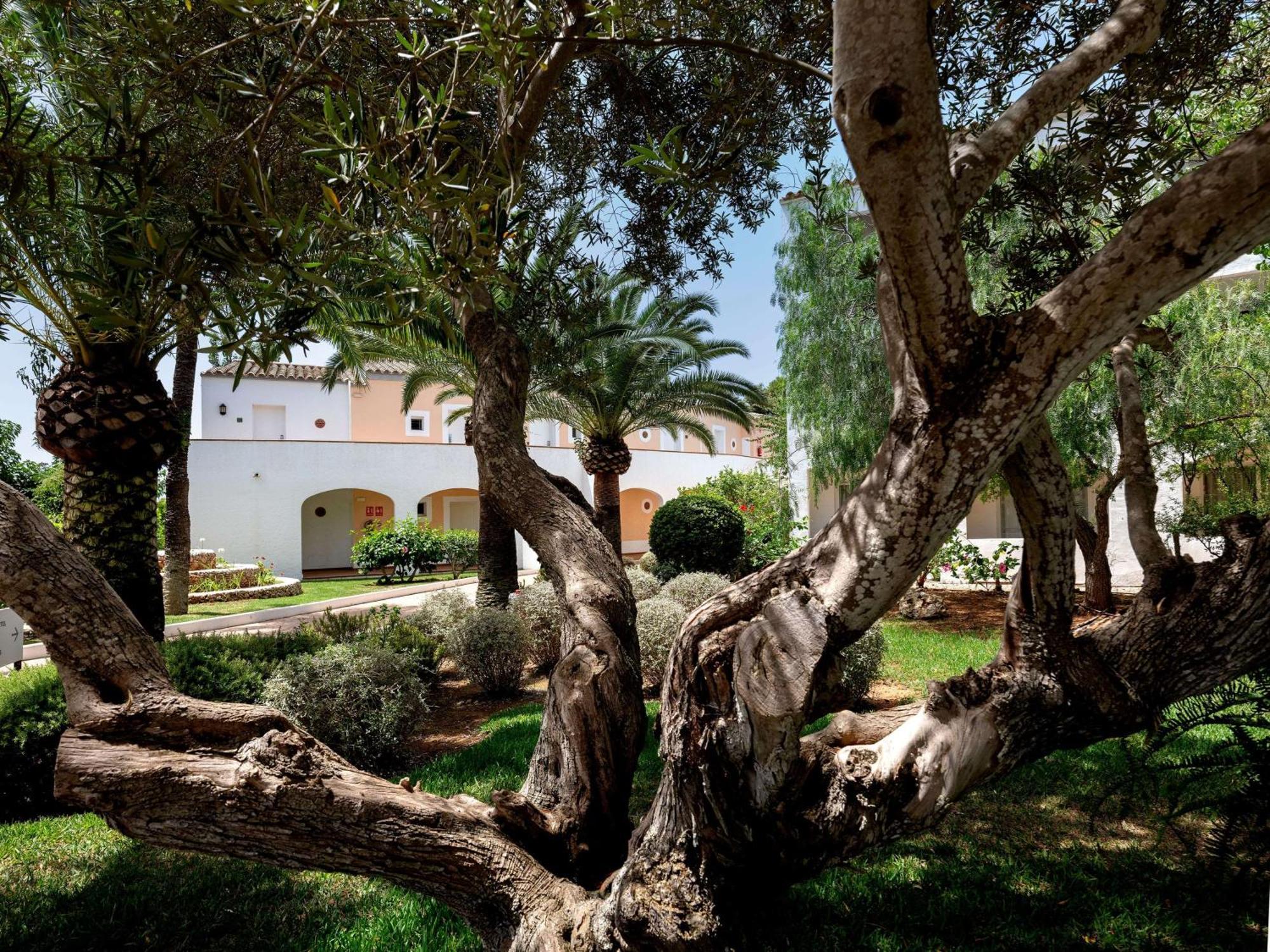 Sol Falco Menorca Son Xoriguer Exterior foto
